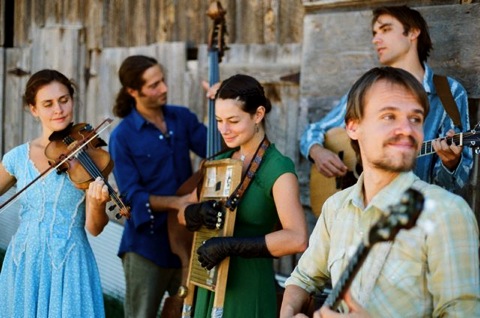 elephant-revival-color-credit-annestaveley-640px